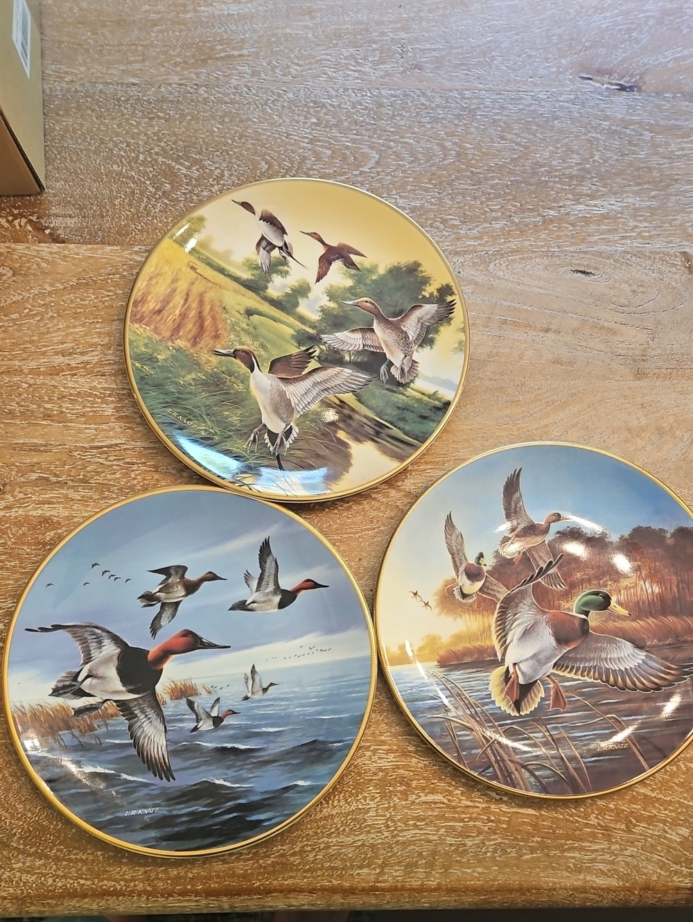 Decorative Duck Plates Set of 3 - Gold Trim - Unknown Brand
